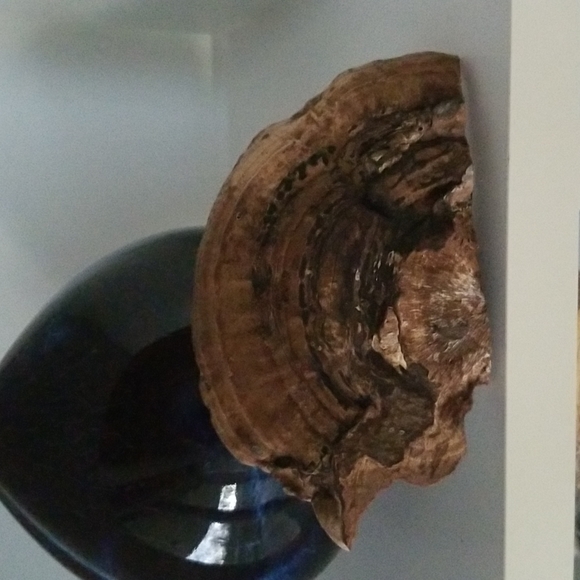 AL ART Mushroom Carving - Picture 4 of 5